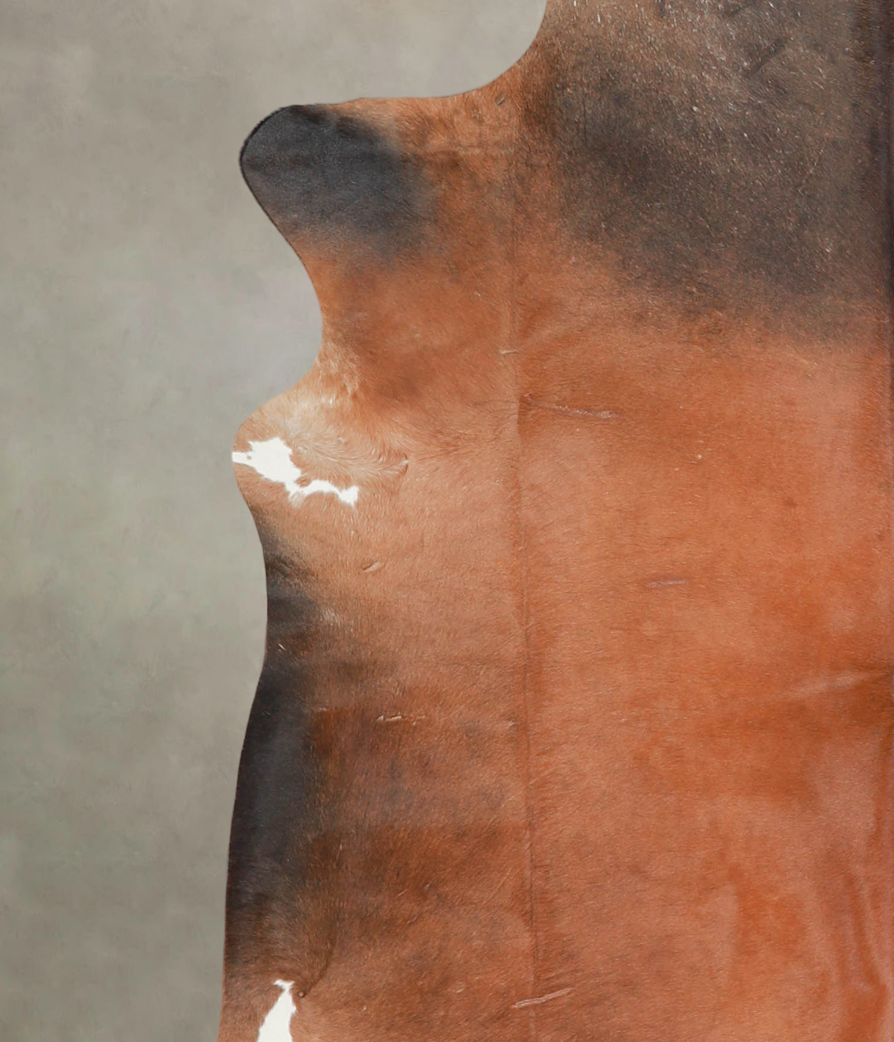 Brown with Red Cowhide Rug #A29120