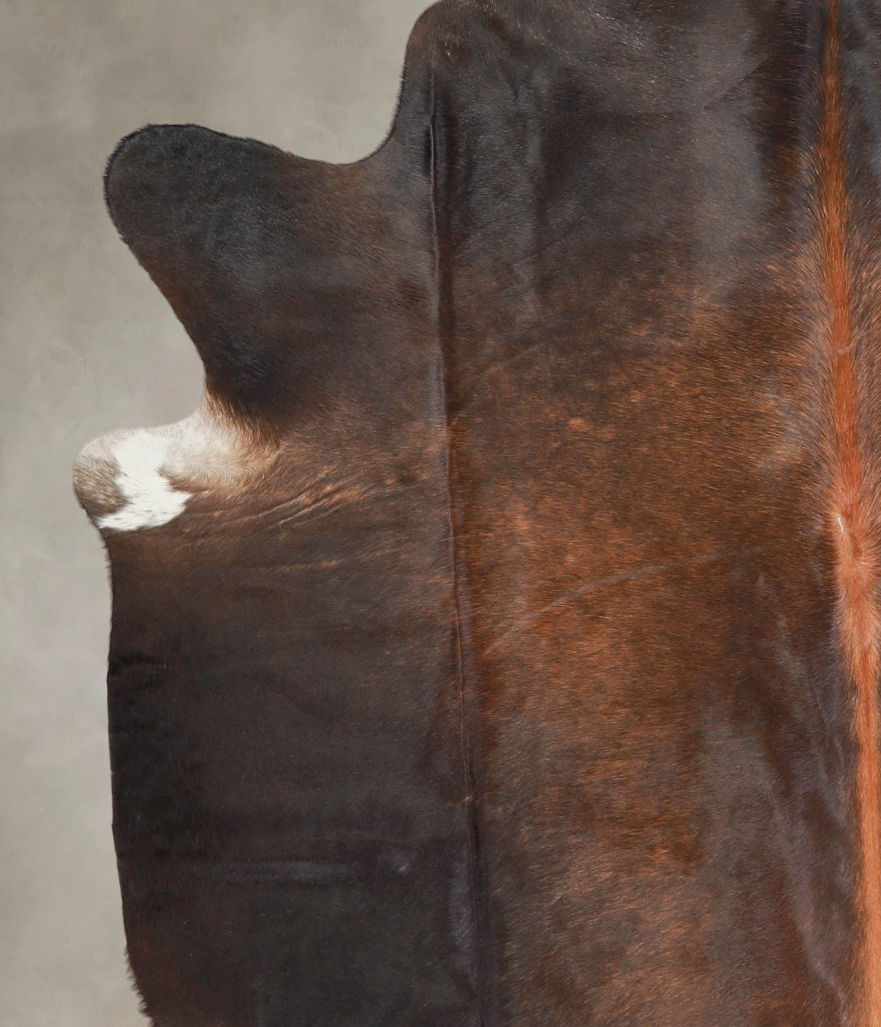 Brown with Red Cowhide Rug #A29146