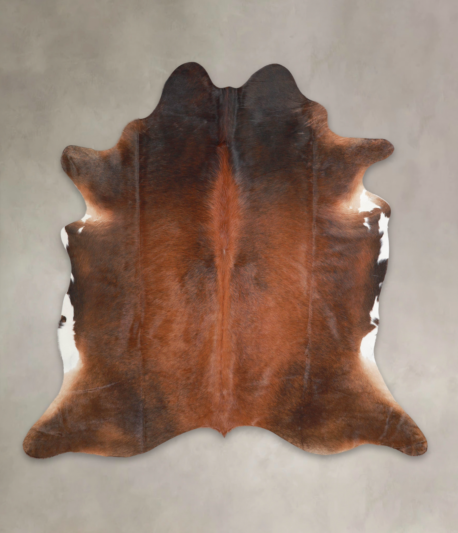 Brown with Red Cowhide Rug #A29152