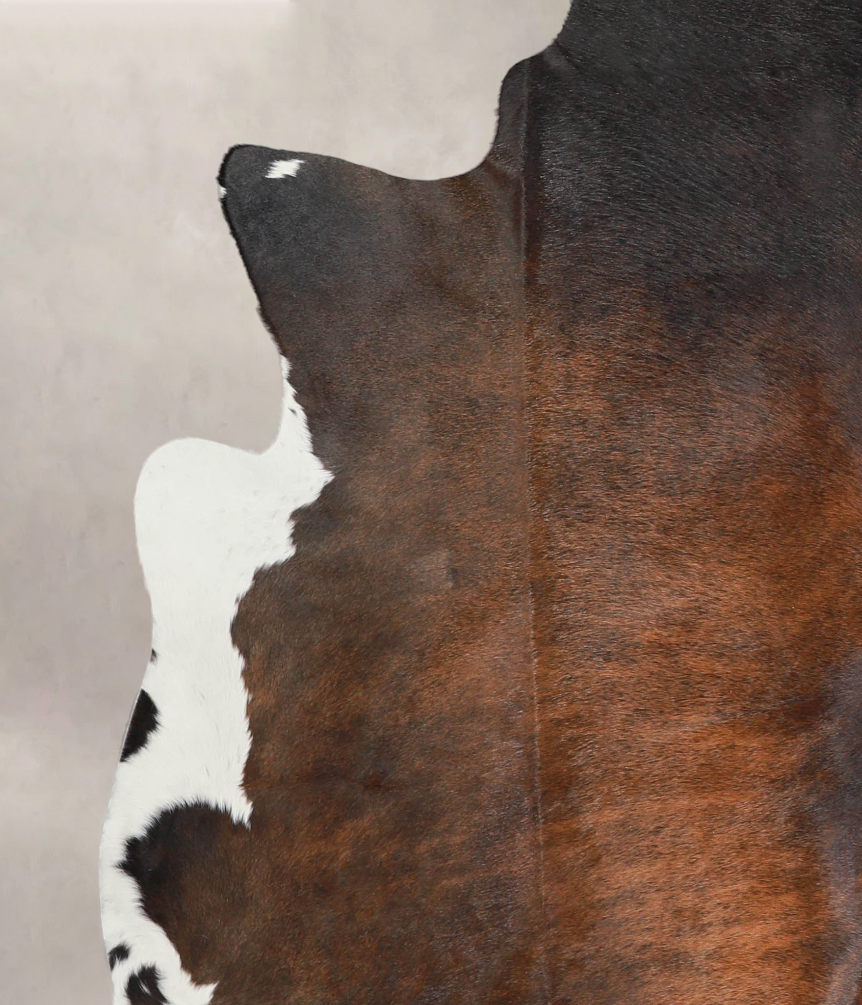 Chocolate and White Cowhide Rug #A29157