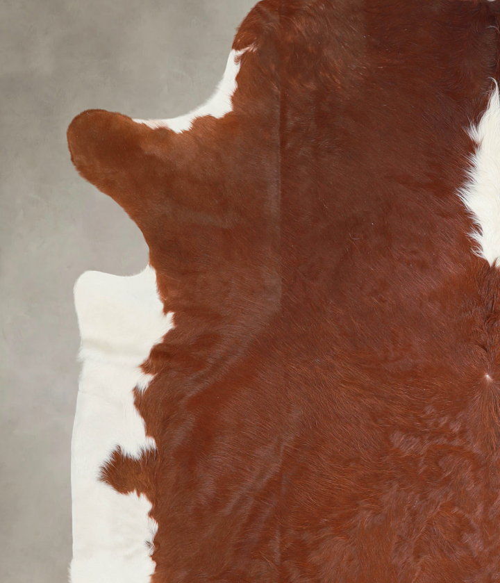 Hereford XX-Large Brazilian Cowhide Rug 8'4"H x 7'6"W #A29231 by Hudson Hides