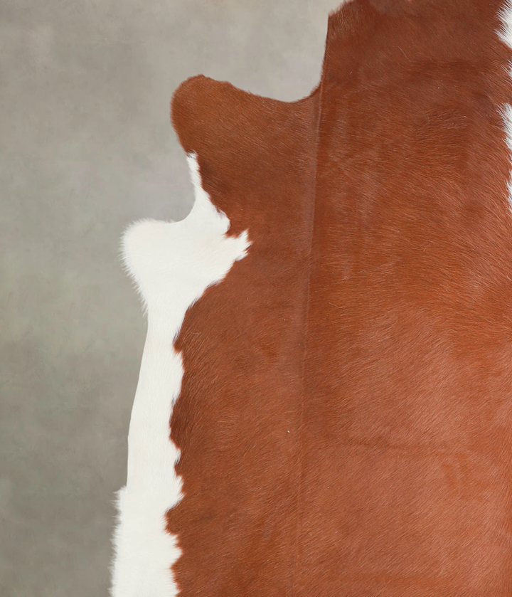 Hereford XX-Large Brazilian Cowhide Rug 7'8"H x 7'2"W #A29255 by Hudson Hides