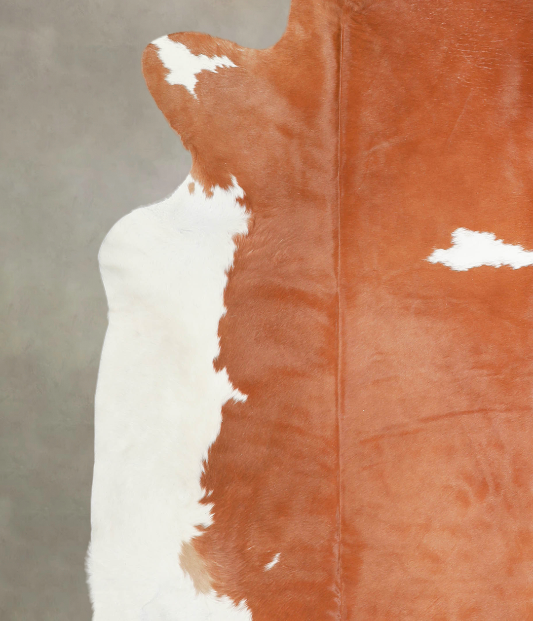 Brown and White XX-Large Brazilian Cowhide Rug 7'5"H x 7'6"W #A29269 b