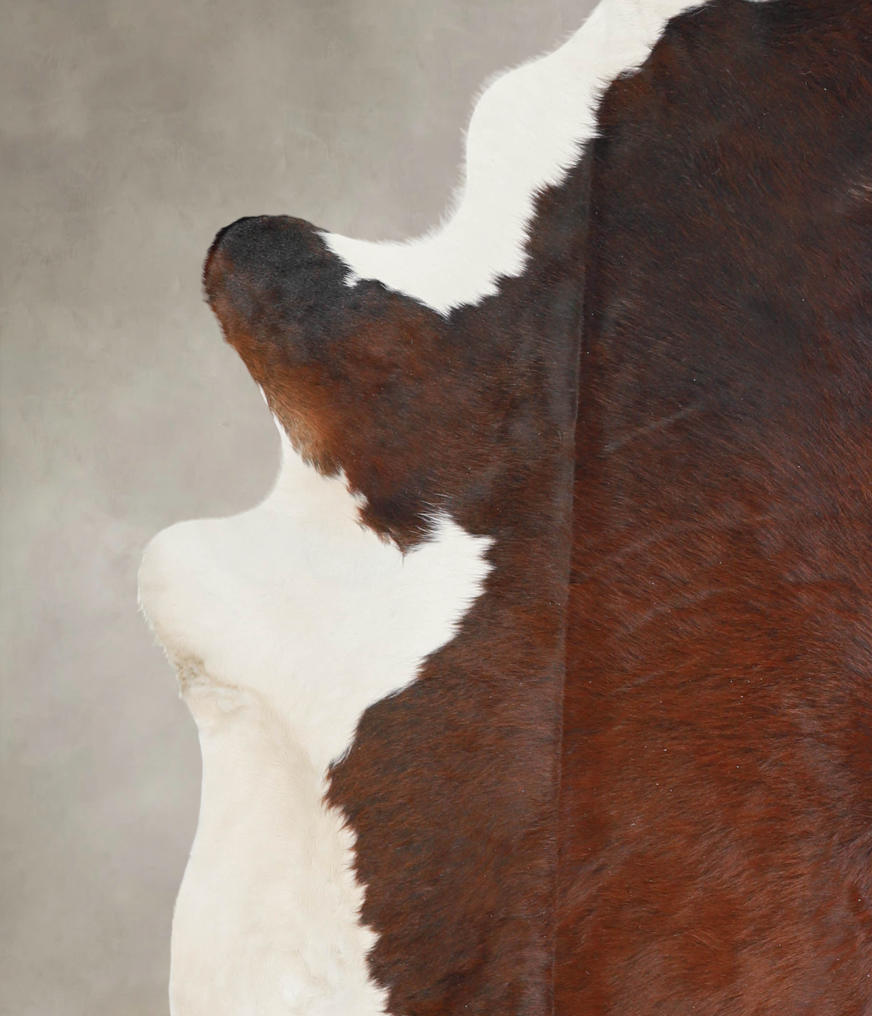 Chocolate and White Cowhide Rug #A29281