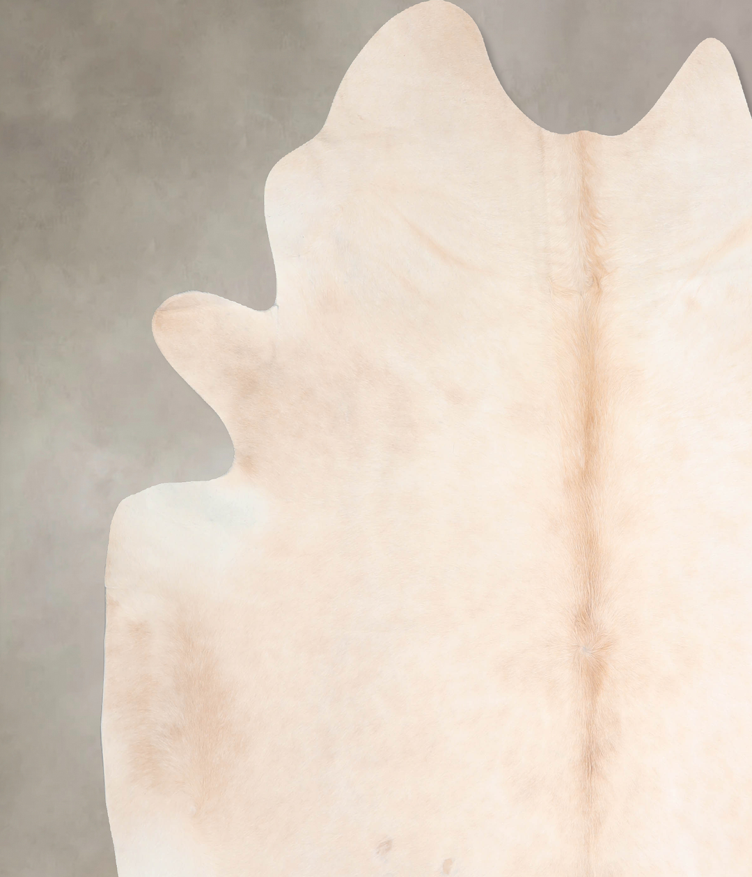 Beige XX-Large Brazilian Cowhide Rug 7'11"H x 7'5"W #A29315 by Hudson 