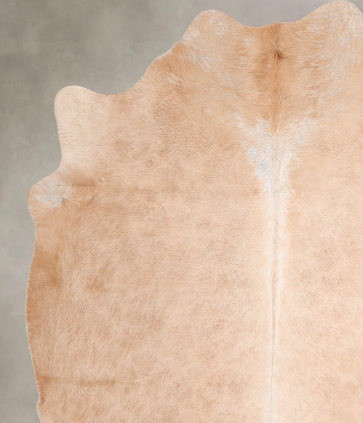 Beige X-Large Brazilian Cowhide Rug 6'9"H x 6'4"W #A29489 by Hudson Hides