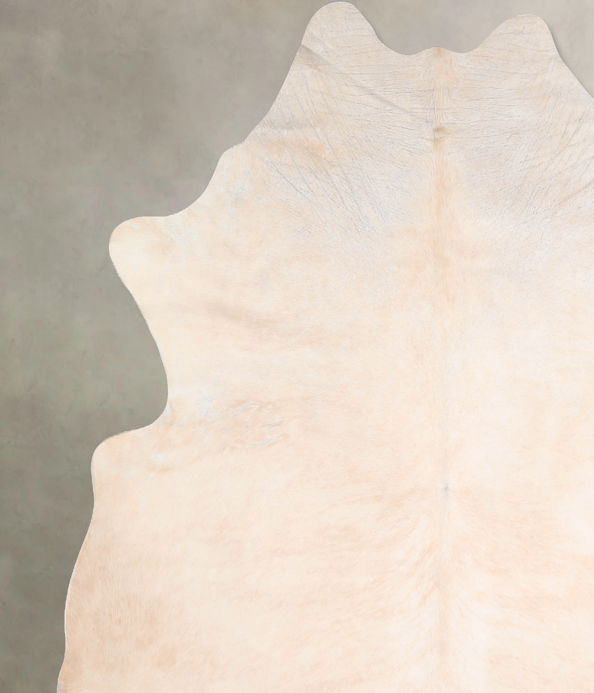 Beige XX-Large Brazilian Cowhide Rug 7'11"H x 7'4"W #A29511 by Hudson Hides
