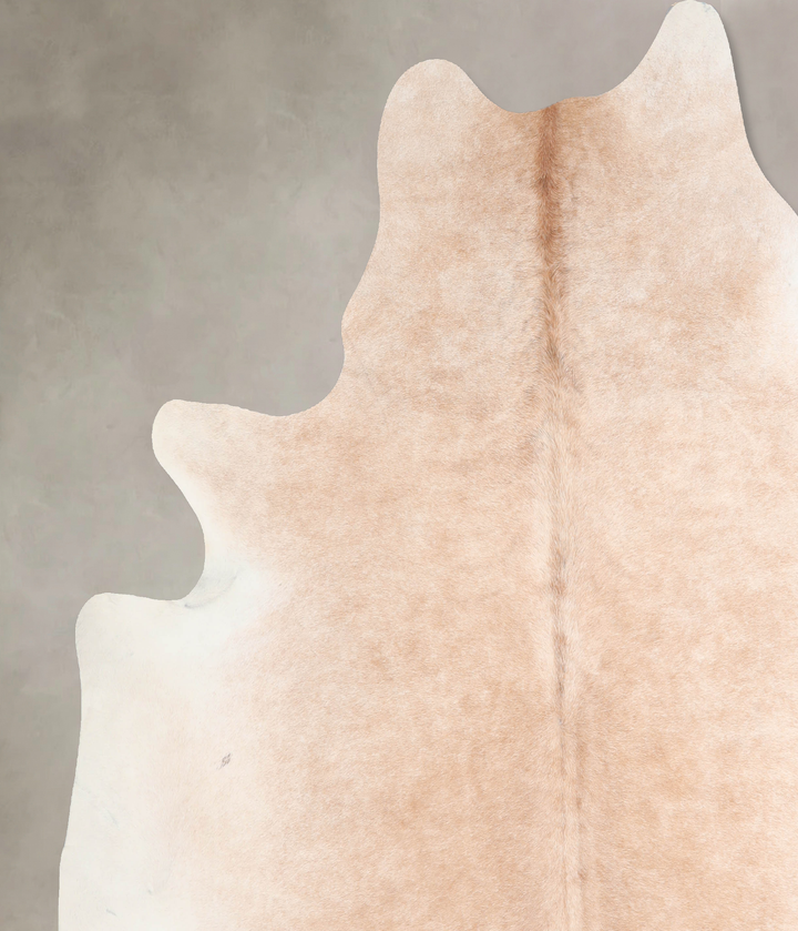 Beige XX-Large Brazilian Cowhide Rug 7'8"H x 7'7"W #A29520 by Hudson Hides