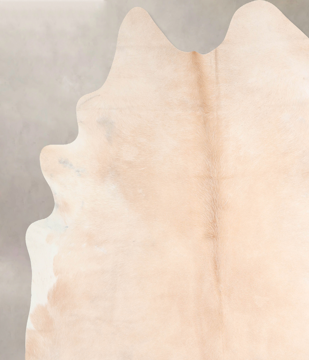 Beige XX-Large Brazilian Cowhide Rug 7'8"H x 7'1"W #A29521 by Hudson H