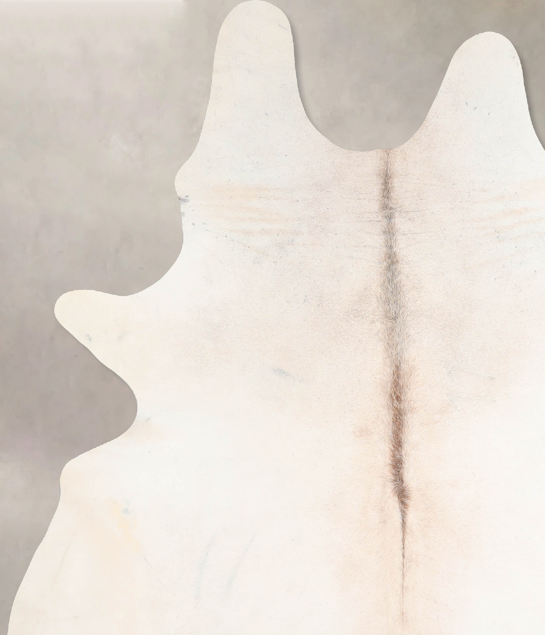 Ivory with Beige XX-Large Brazilian Cowhide Rug 8'0"H x 6'5"W #A29524 