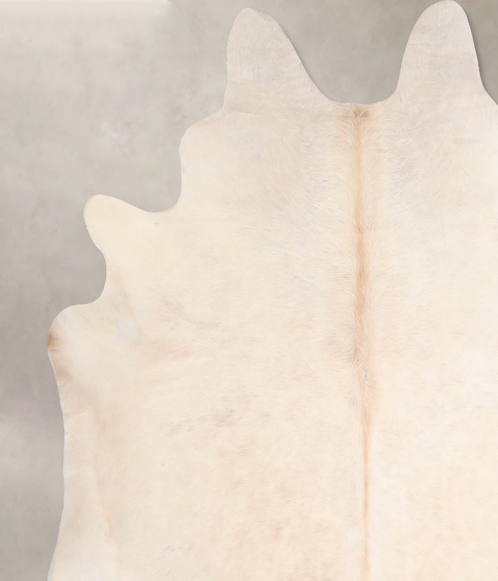 Ivory with Beige XX-Large Brazilian Cowhide Rug 7'7"H x 7'5"W #A29556 by Hudson Hides