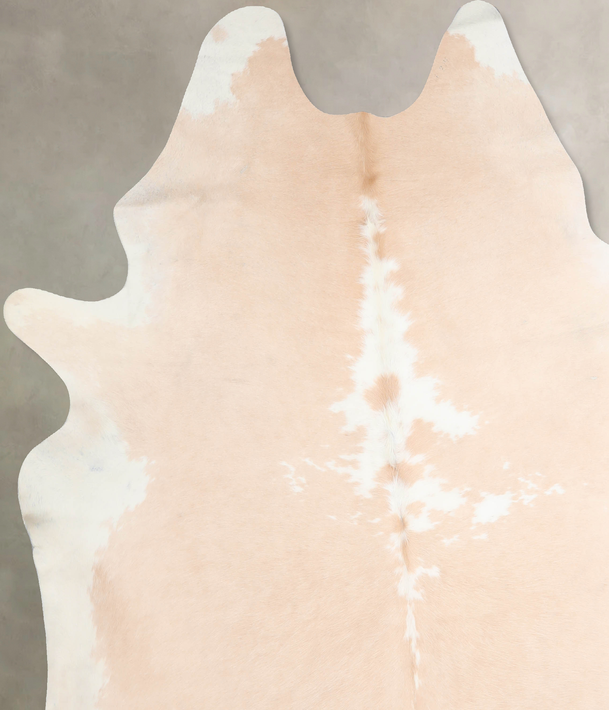 Beige and White XX-Large Brazilian Cowhide Rug 8'1"H x 7'1"W #A29563 by Hudson Hides