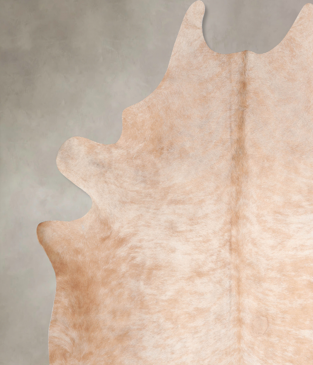 Beige XX-Large Brazilian Cowhide Rug 8'1"H x 7'6"W #A29595 by Hudson H