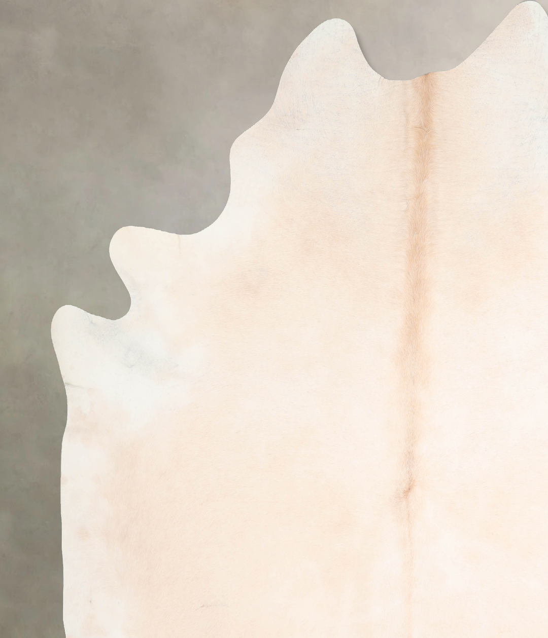 Beige XX-Large Brazilian Cowhide Rug 8'2"H x 7'1"W #A29638 by Hudson H
