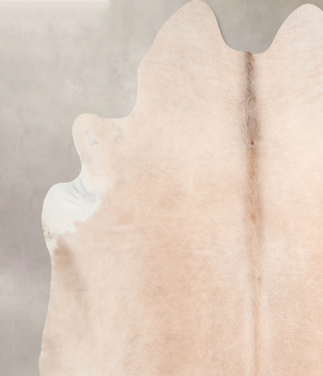 Beige XX-Large Brazilian Cowhide Rug 7'3"H x 6'11"W #A29774 by Hudson 