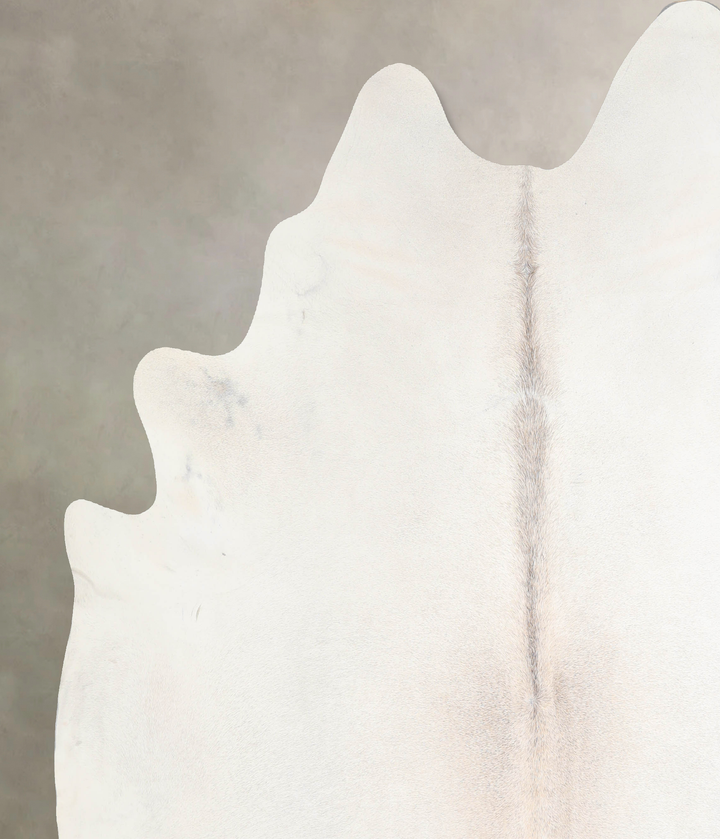 Ivory with Beige XX-Large Brazilian Cowhide Rug 7'10"H x 7'1"W #A29886 by Hudson Hides