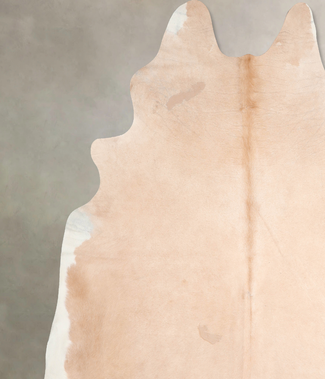 Beige XX-Large Brazilian Cowhide Rug 8'3"H x 7'10"W #A29952 by Hudson 
