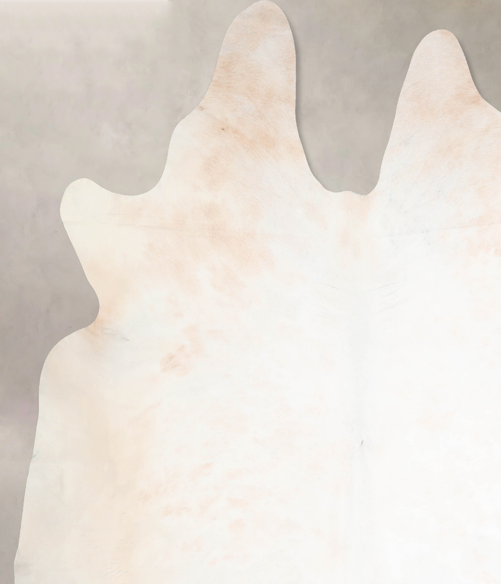 Ivory with Beige XX-Large Brazilian Cowhide Rug 8'2"H x 7'10"W #A29970 by Hudson Hides