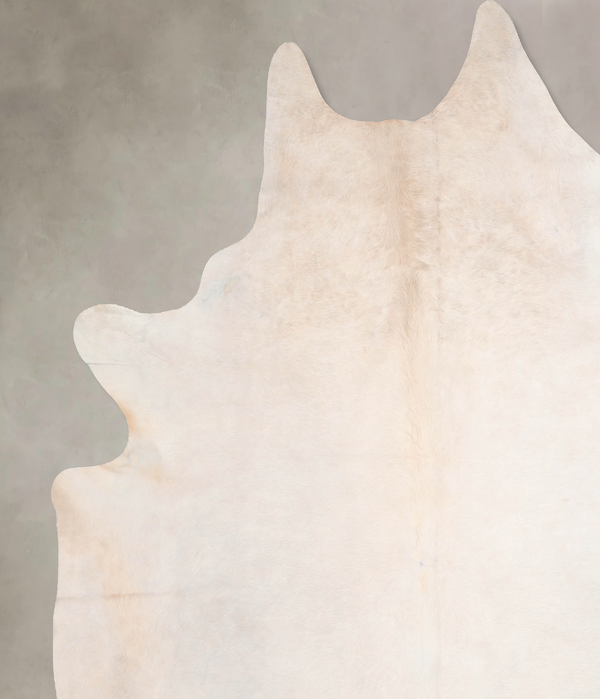 Palomino XX-Large Brazilian Cowhide Rug 8'1"H x 7'4"W #A30000 by Hudson Hides