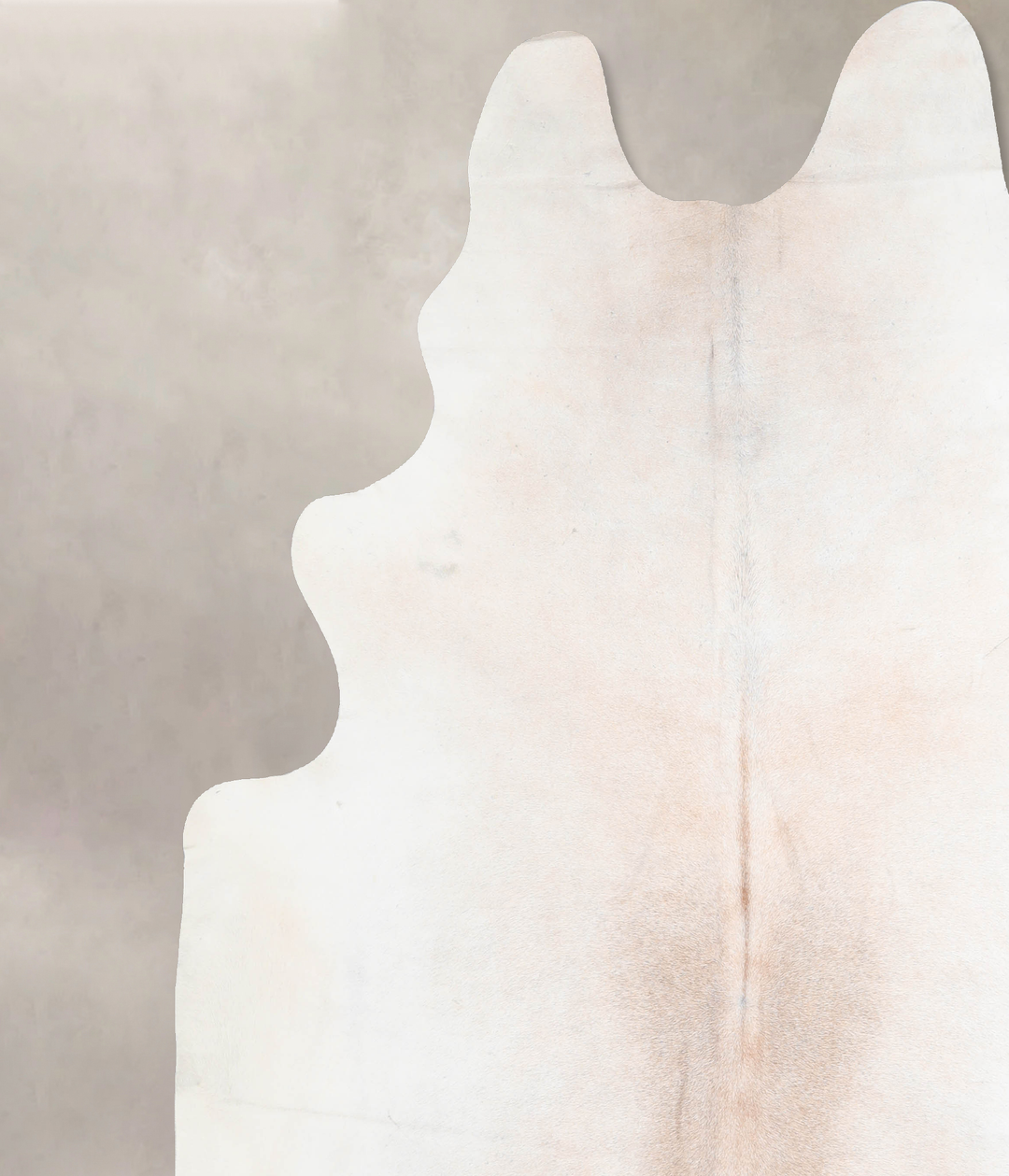 Ivory with Beige XX-Large Brazilian Cowhide Rug 8'0"H x 7'2"W #A30125 