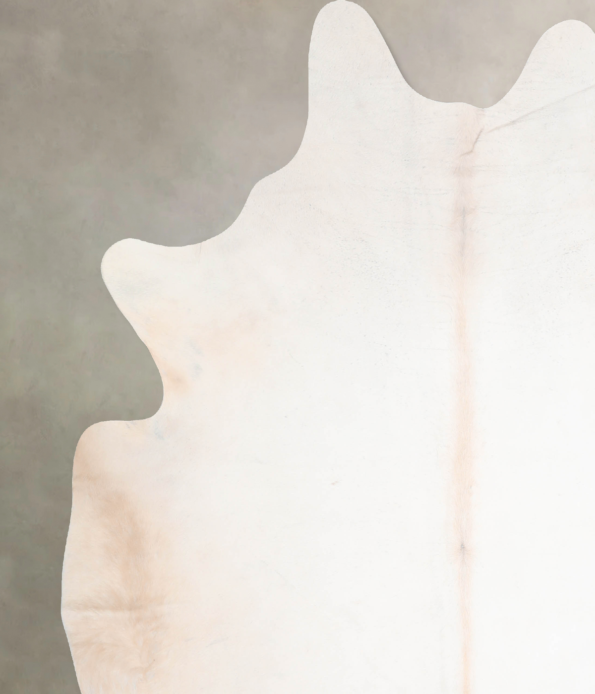 Ivory with Beige Cowhide Rug #A30190
