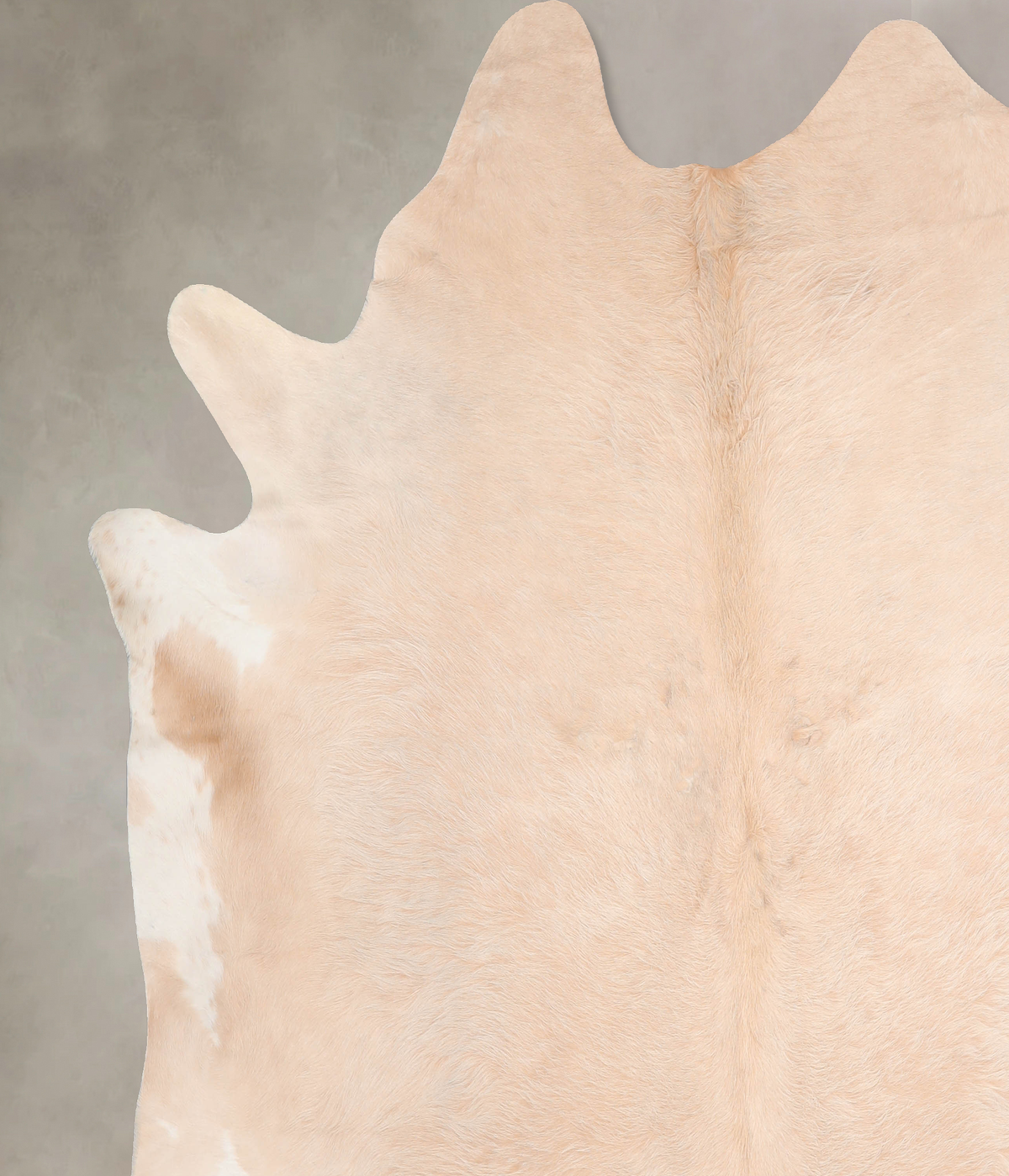 Palomino XX-Large Brazilian Cowhide Rug 7'9"H x 8'0"W #A30256 by Hudson Hides