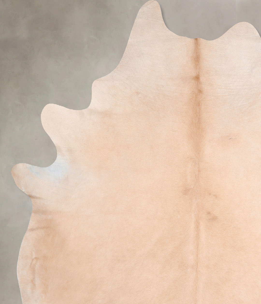 Beige XX-Large Brazilian Cowhide Rug 8'6"H x 7'0"W #A30272 by Hudson H