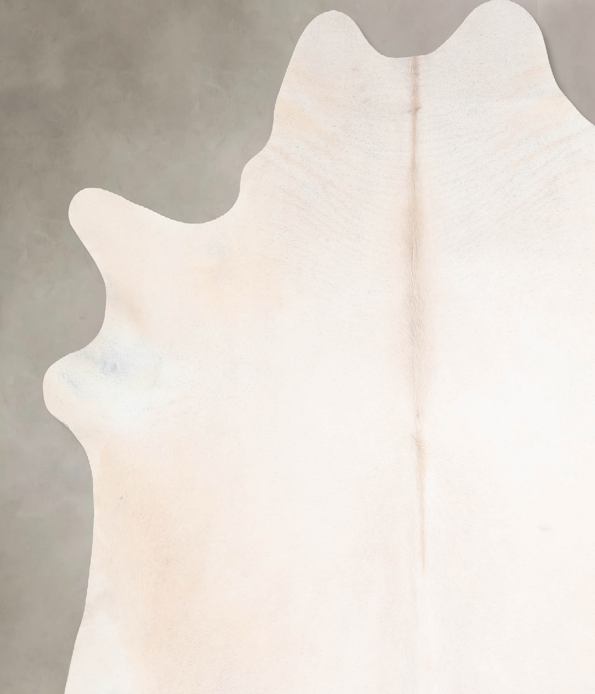 Ivory with Beige X-Large Brazilian Cowhide Rug 7'2"H x 6'10"W #A30279 by Hudson Hides