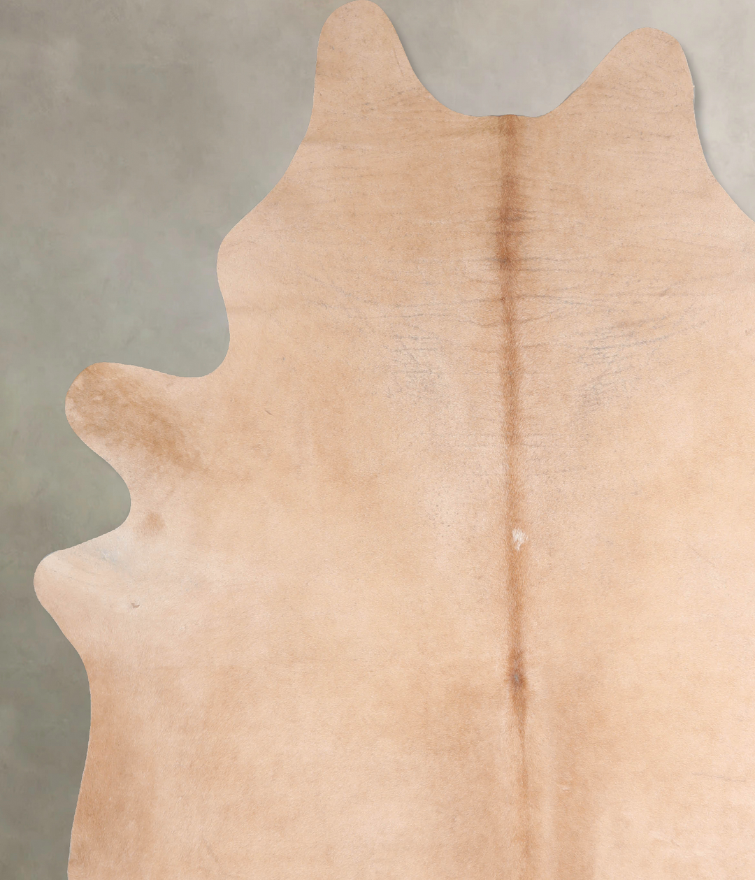 Beige XX-Large Brazilian Cowhide Rug 8'11"H x 7'3"W #A30382 by Hudson 