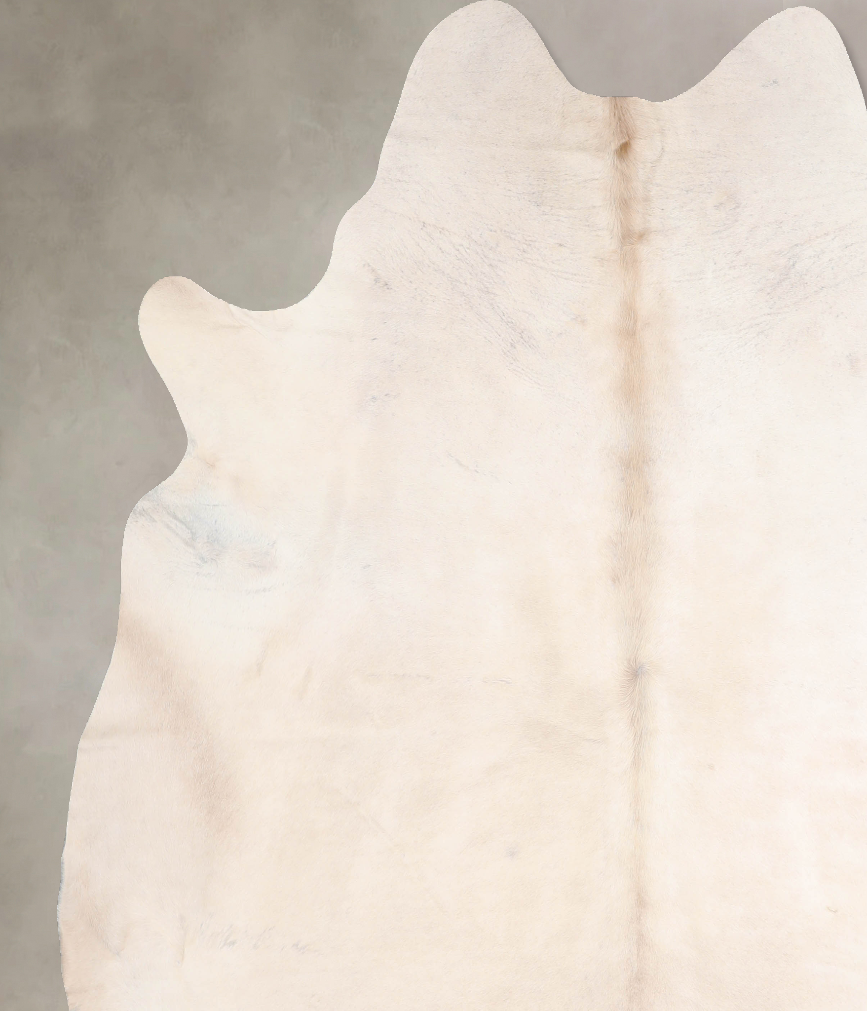 Ivory with Beige Cowhide Rug #A30409