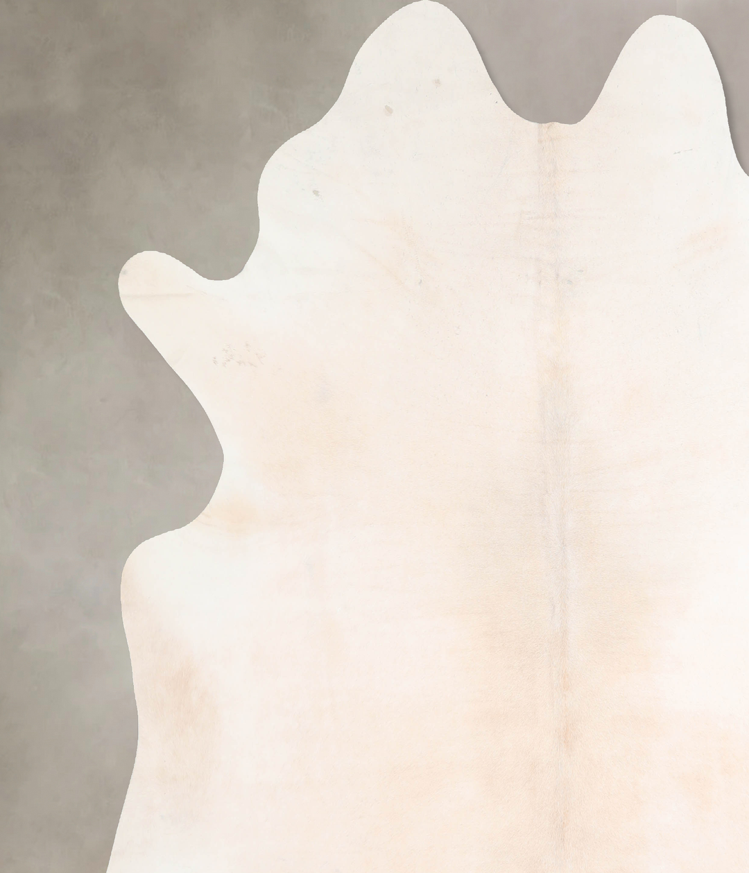 Ivory with Beige XX-Large Brazilian Cowhide Rug 7'10"H x 7'8"W #A30425