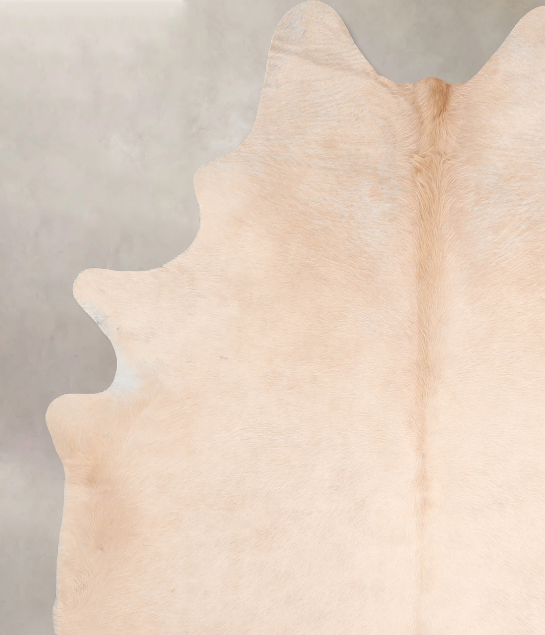 Beige X-Large Brazilian Cowhide Rug 7'2"H x 5'11"W #A30452 by Hudson H