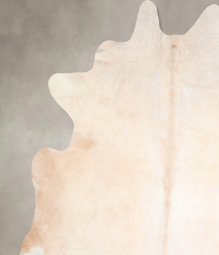 Ivory with Beige XX-Large Brazilian Cowhide Rug 8'4"H x 7'11"W #A30478 by Hudson Hides