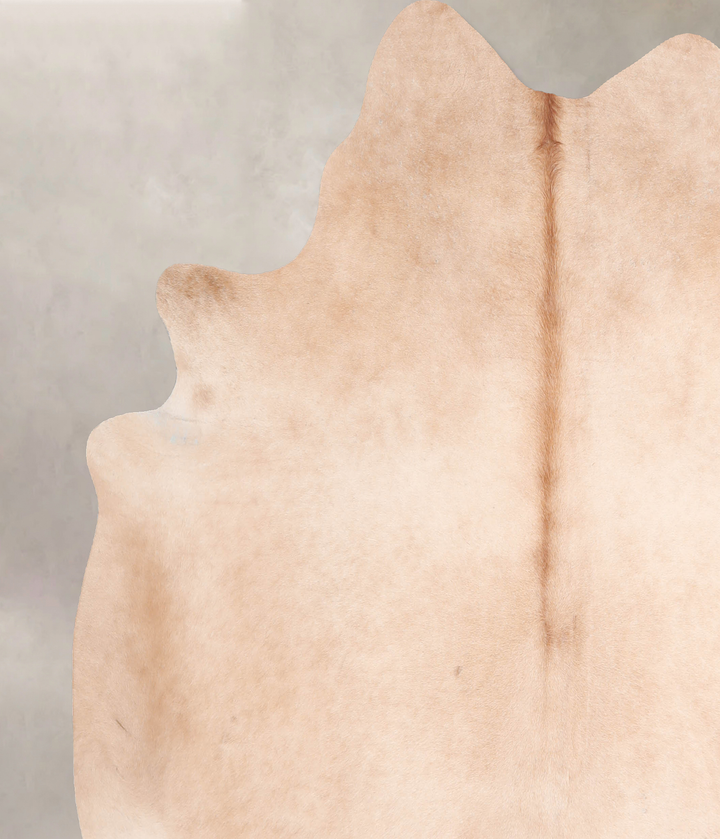 Beige X-Large Brazilian Cowhide Rug 6'5"H x 6'7"W #A30526 by Hudson Hides