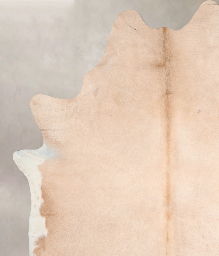 Beige XX-Large Brazilian Cowhide Rug 8'0"H x 6'10"W #A30537 by Hudson Hides