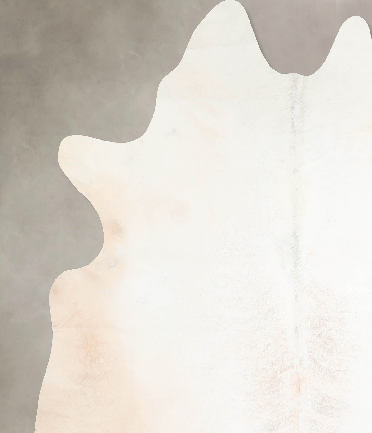 Ivory with Beige XX-Large Brazilian Cowhide Rug 7'6"H x 6'9"W #A30584 by Hudson Hides