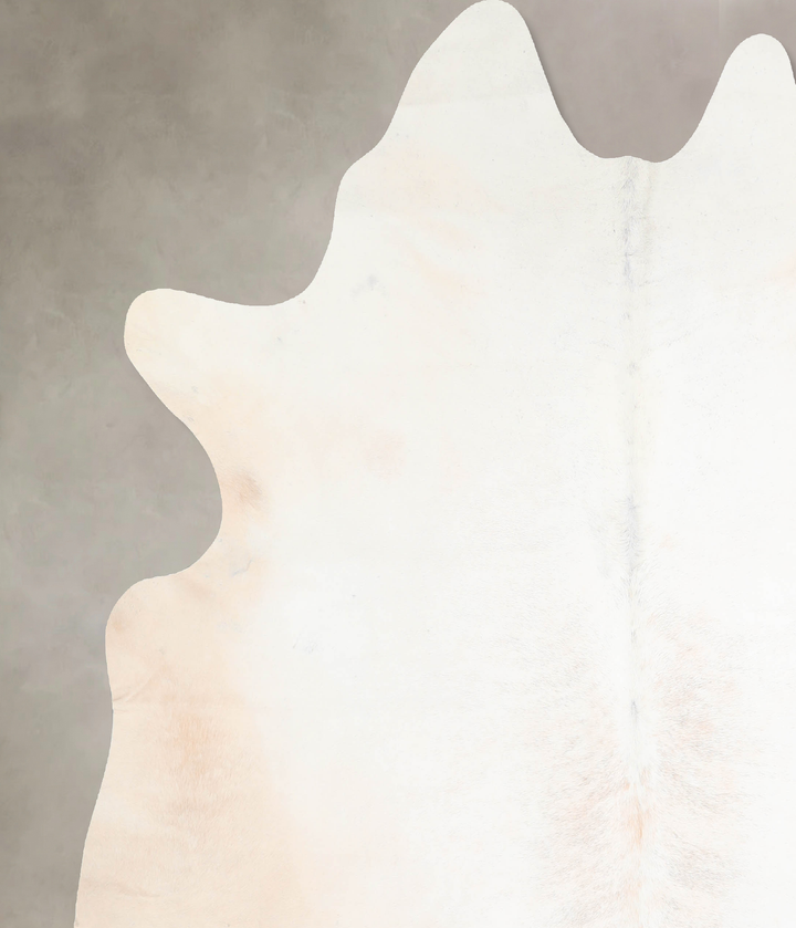 Ivory with Beige XX-Large Brazilian Cowhide Rug 7'6"H x 6'9"W #A30584 by Hudson Hides