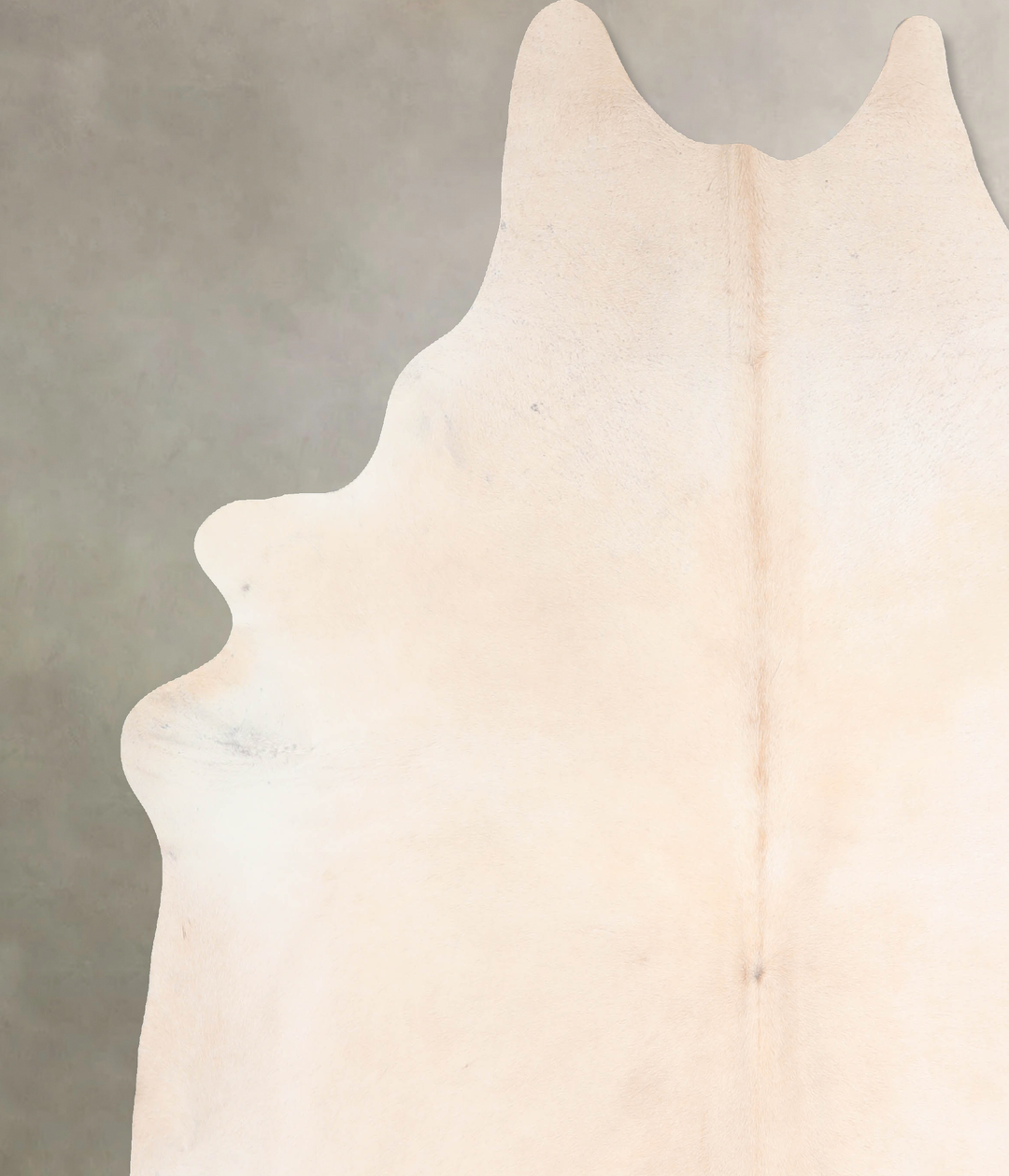 Ivory with Beige XX-Large Brazilian Cowhide Rug 7'11"H x 7'3"W #A30594