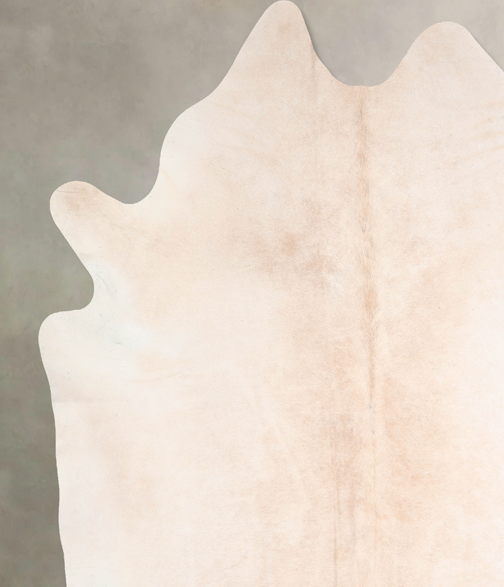 Ivory with Beige XX-Large Brazilian Cowhide Rug 8'0"H x 7'4"W #A30617 by Hudson Hides