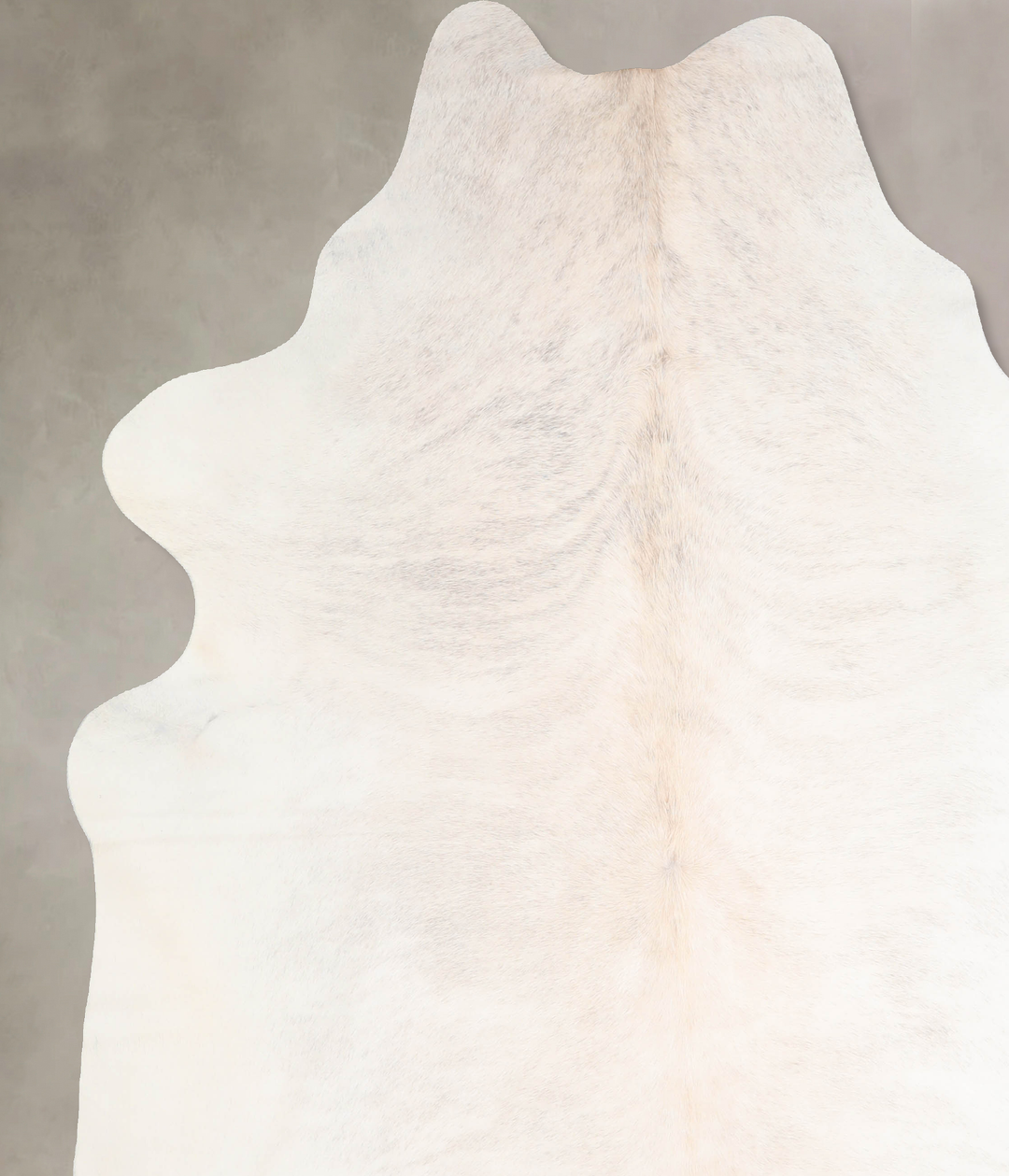 Ivory with Beige XX-Large Brazilian Cowhide Rug 8'2"H x 6'11"W #A30743