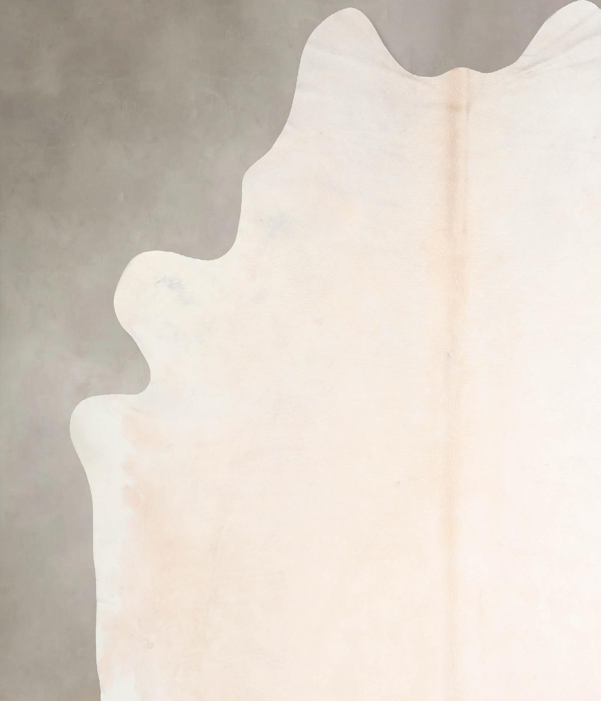 Ivory with Beige XX-Large Brazilian Cowhide Rug 8'2"H x 7'6"W #A30812 by Hudson Hides