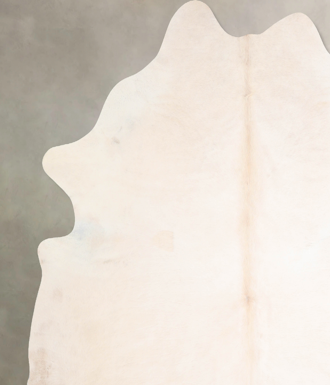 Ivory with Beige XX-Large Brazilian Cowhide Rug 8'0"H x 7'2"W #A30840 