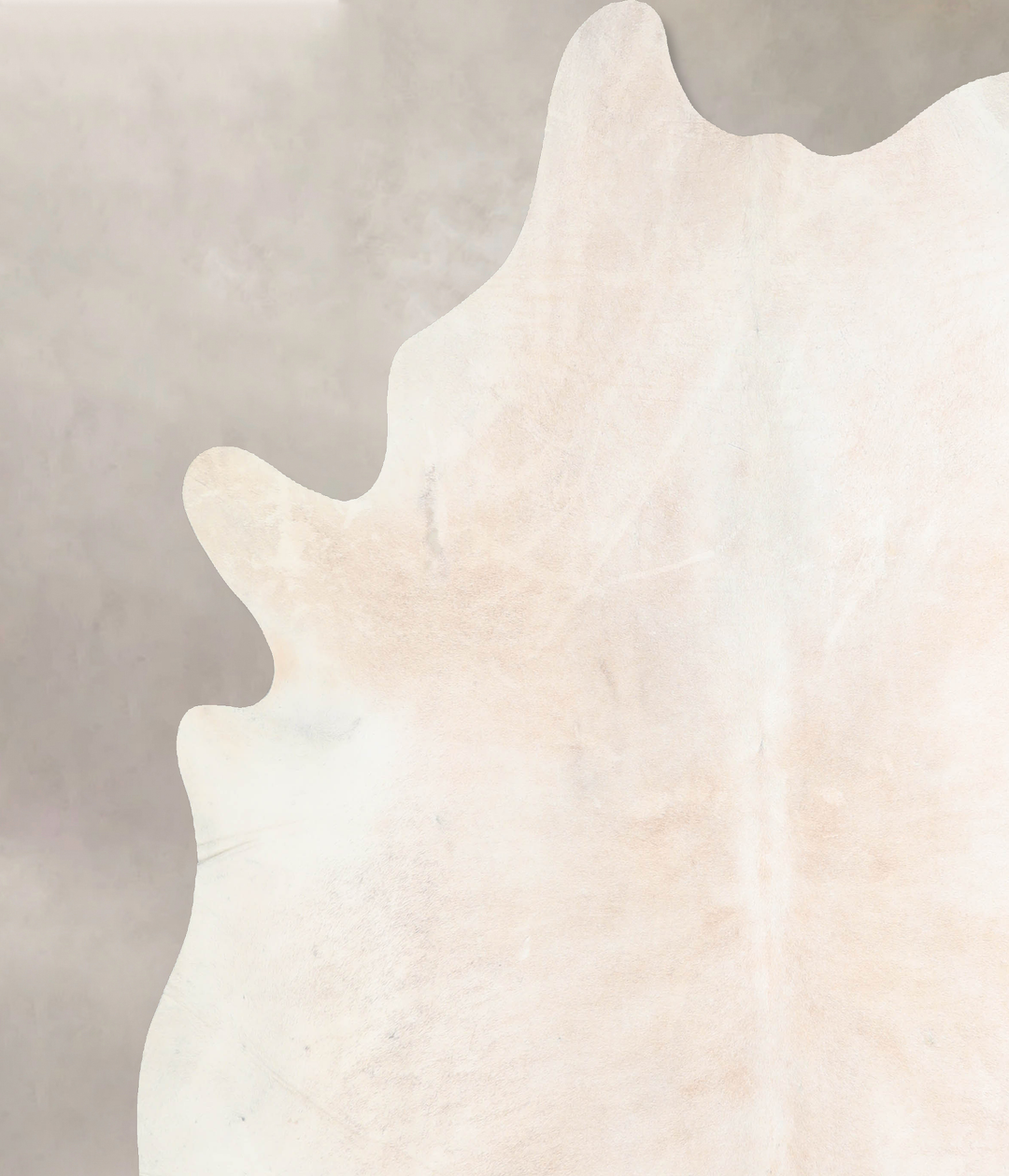Ivory with Beige XX-Large Brazilian Cowhide Rug 7'10"H x 7'3"W #A30844