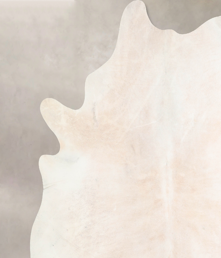 Ivory with Beige XX-Large Brazilian Cowhide Rug 7'10"H x 7'3"W #A30844 by Hudson Hides
