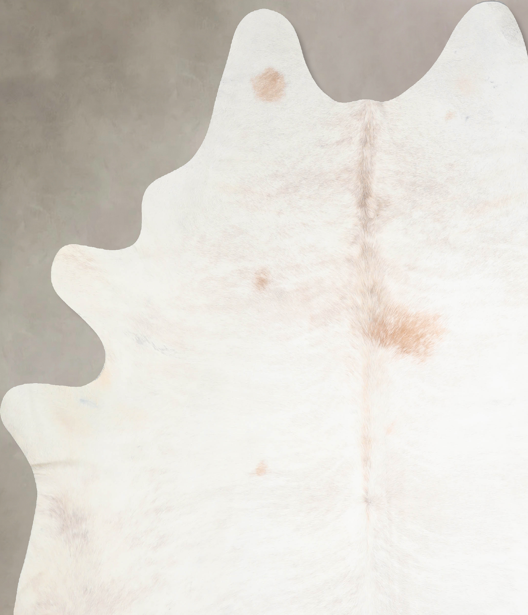 Ivory with Beige XX-Large Brazilian Cowhide Rug 8'2"H x 6'8"W #A30854 