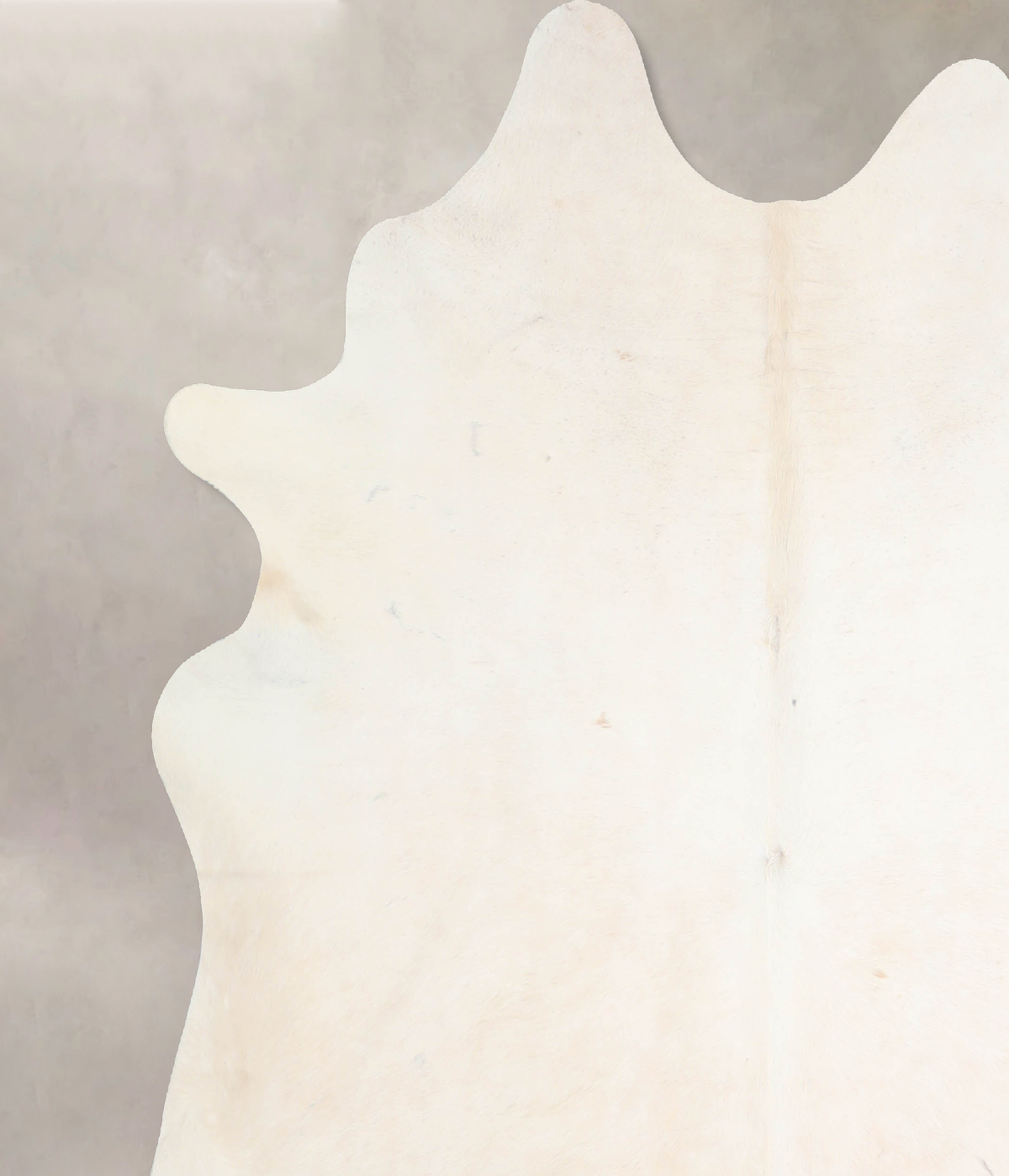 Ivory with Beige XX-Large Brazilian Cowhide Rug 7'6"H x 6'8"W #A30857 by Hudson Hides