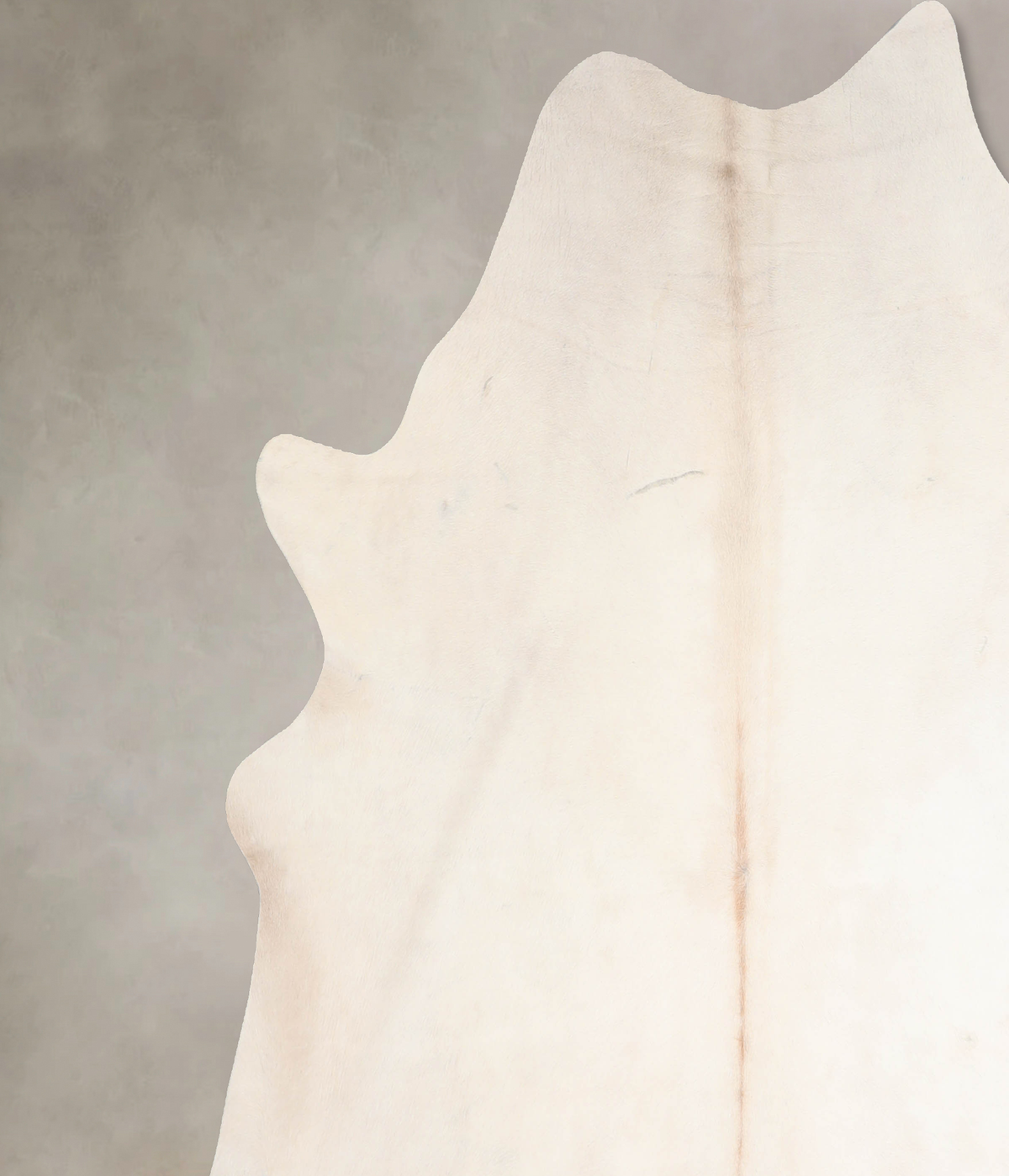 Ivory with Beige XX-Large Brazilian Cowhide Rug 7'8"H x 7'5"W #A30861 by Hudson Hides