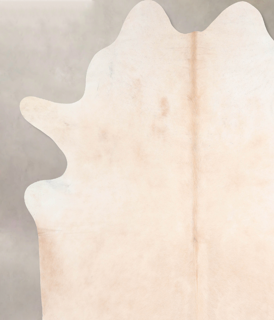 Ivory with Beige XX-Large Brazilian Cowhide Rug 7'8"H x 6'8"W #A30985 