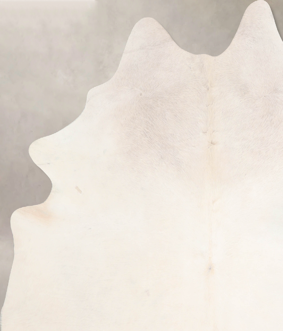 Ivory with Beige X-Large Brazilian Cowhide Rug 7'3"H x 6'2"W #A31026 b