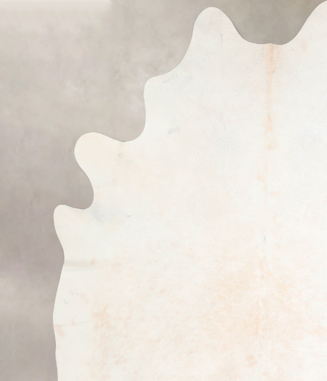 Ivory with Beige X-Large Brazilian Cowhide Rug 7'9"H x 6'5"W #A31035 b